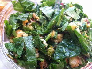 Lunch at Just Salad