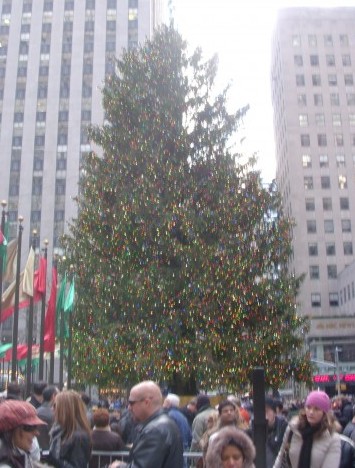 DSCN0349