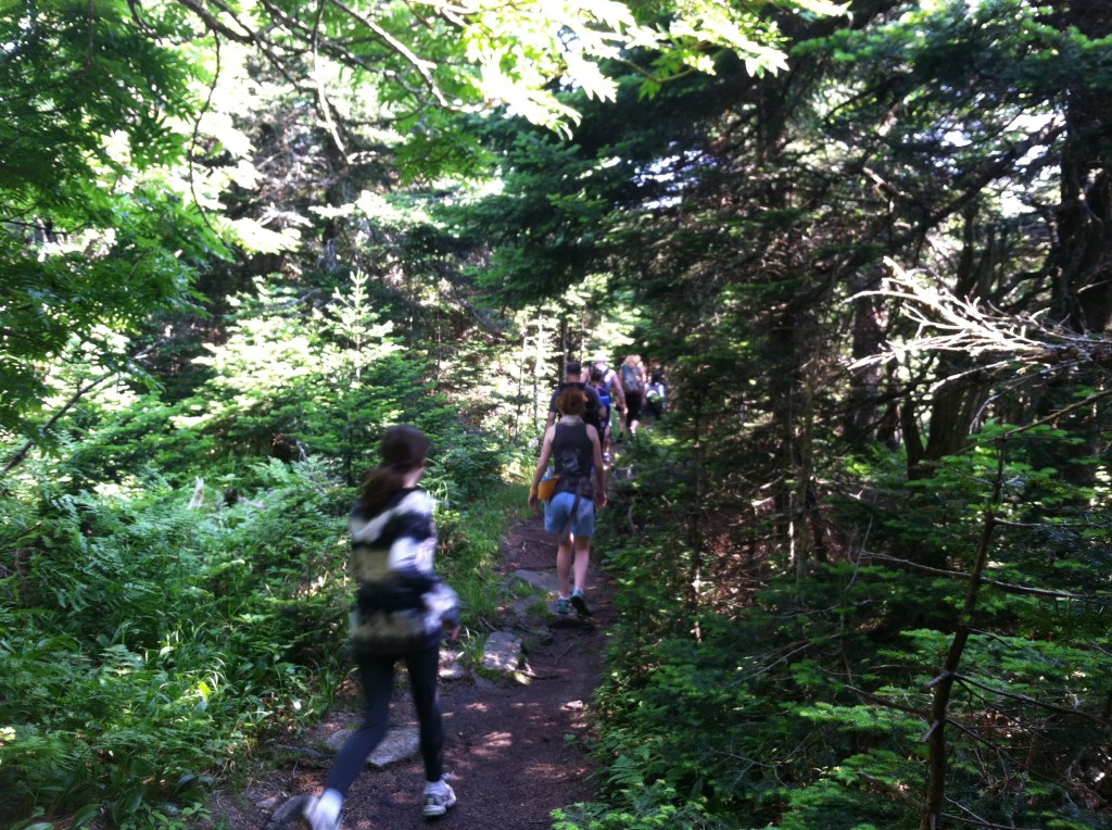 Morning Hike