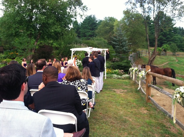 Horse_Wedding.jpg 2012 08 25 17 44 35