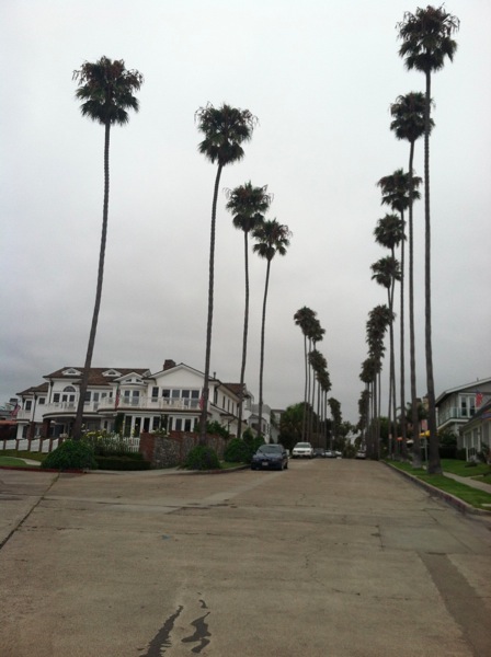Newport1.jpg 2012 08 23 09 49 42