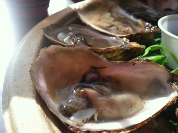 RawOysters.jpg 2012 08 15 16 39 18