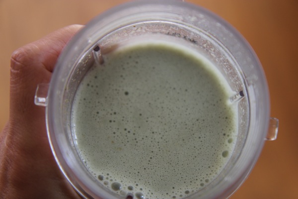 Vega Shake.JPG Vega Shake