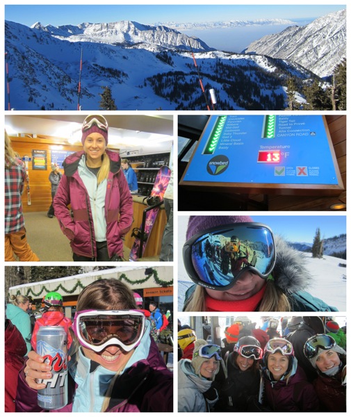 Collage snowbird