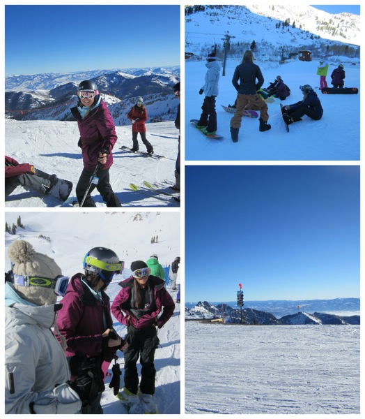 Collage snowbird2