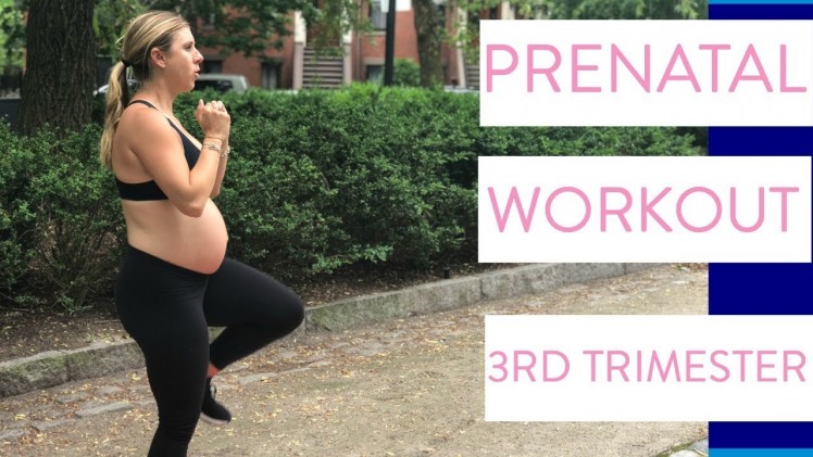 Third Trimester Prenatal Workout #2 | No Equipment Pregnancy Workout ...